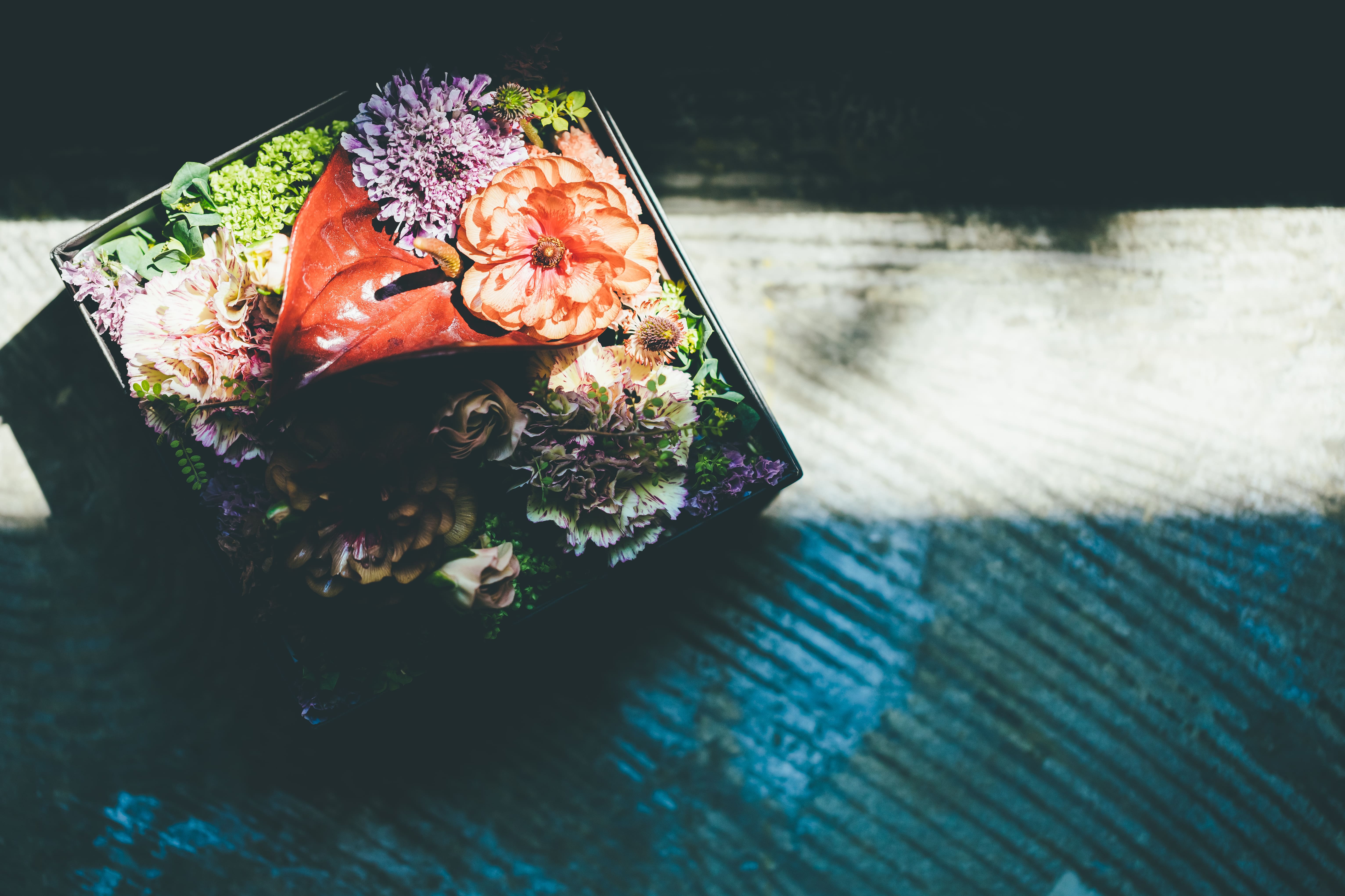 shicaflowerイメージ